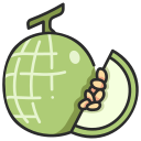 Cantaloupe