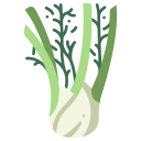Fennel
