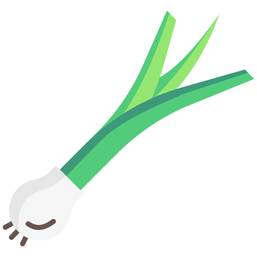 Spring Onion